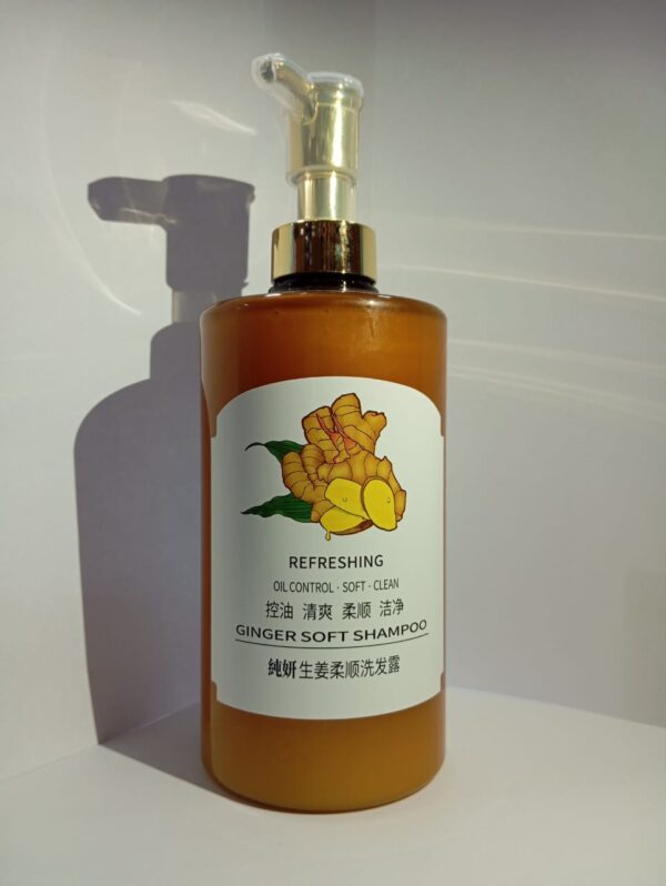GINGER SOFT SHAMPOO – Oil Control & Dandruff Relief | Refreshing & Nourishing - Image 2
