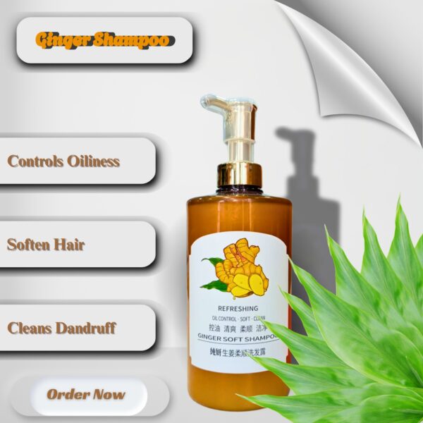 GINGER SOFT SHAMPOO – Oil Control & Dandruff Relief | Refreshing & Nourishing
